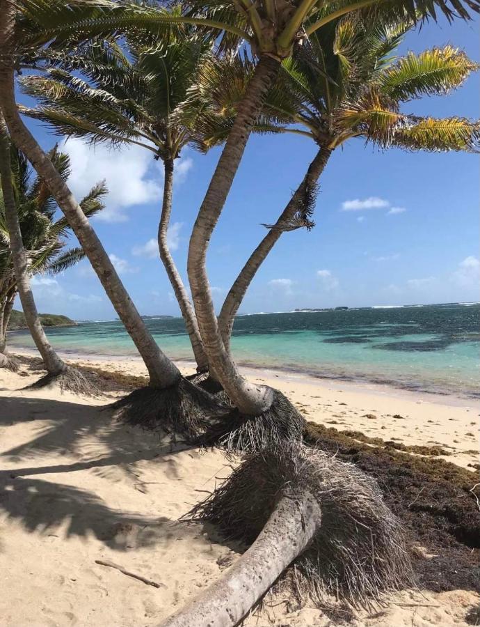 Couleur Caraibes-Cocobeach Martinique Pierre Et Vacances Sainte-Luce Luaran gambar