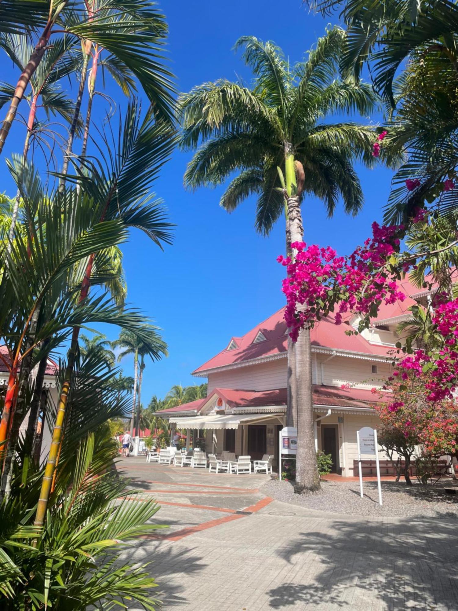 Couleur Caraibes-Cocobeach Martinique Pierre Et Vacances Sainte-Luce Luaran gambar