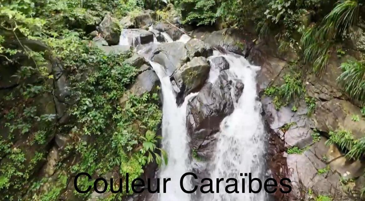 Couleur Caraibes-Cocobeach Martinique Pierre Et Vacances Sainte-Luce Luaran gambar