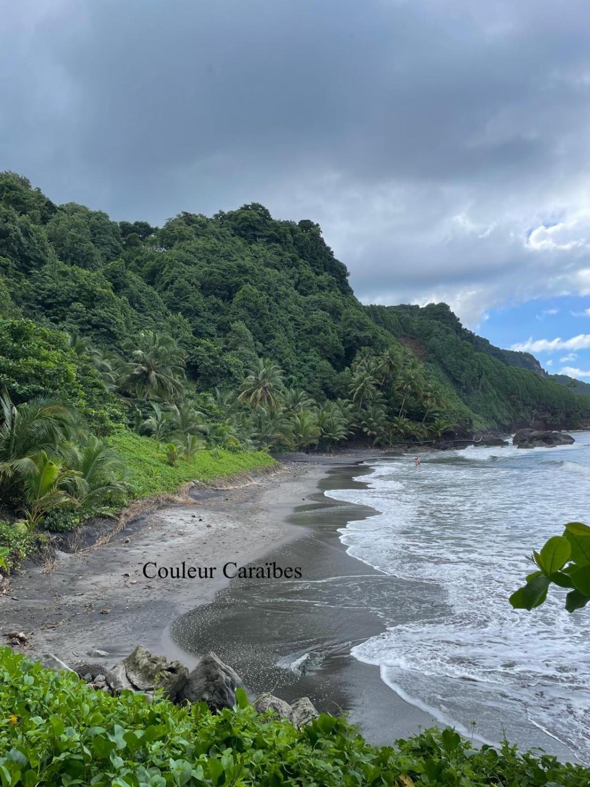 Couleur Caraibes-Cocobeach Martinique Pierre Et Vacances Sainte-Luce Luaran gambar