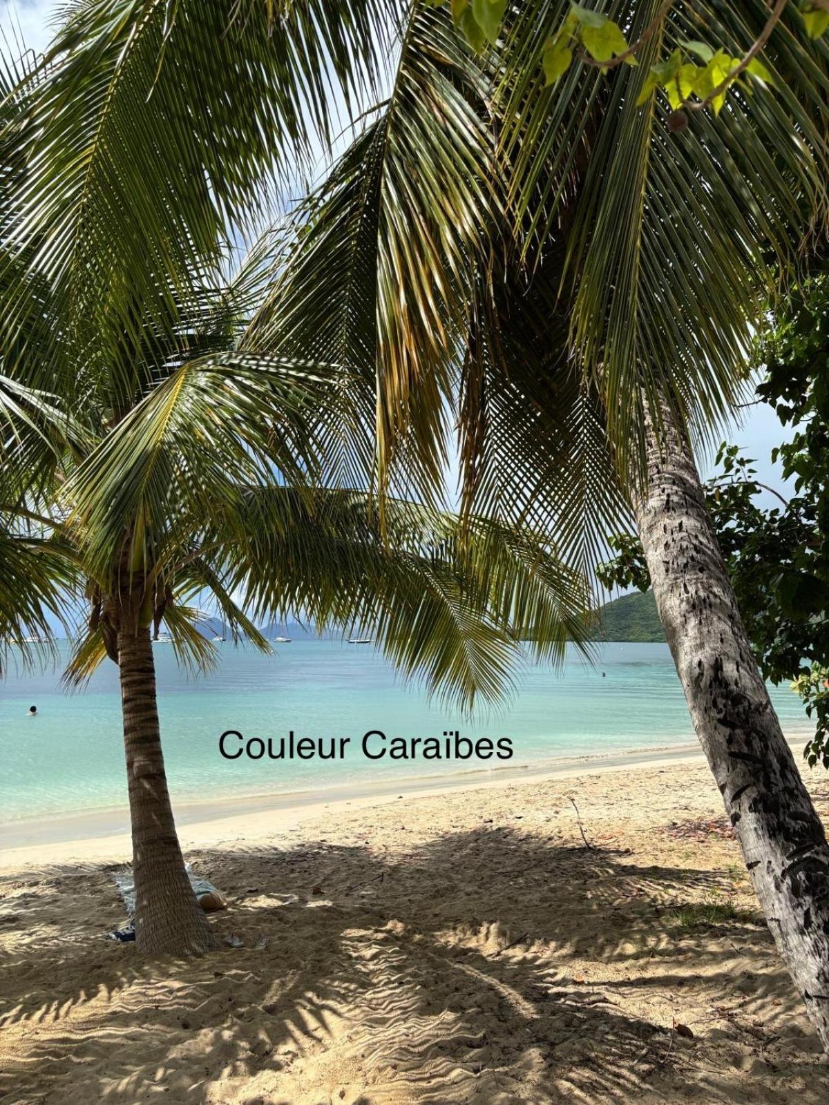 Couleur Caraibes-Cocobeach Martinique Pierre Et Vacances Sainte-Luce Luaran gambar